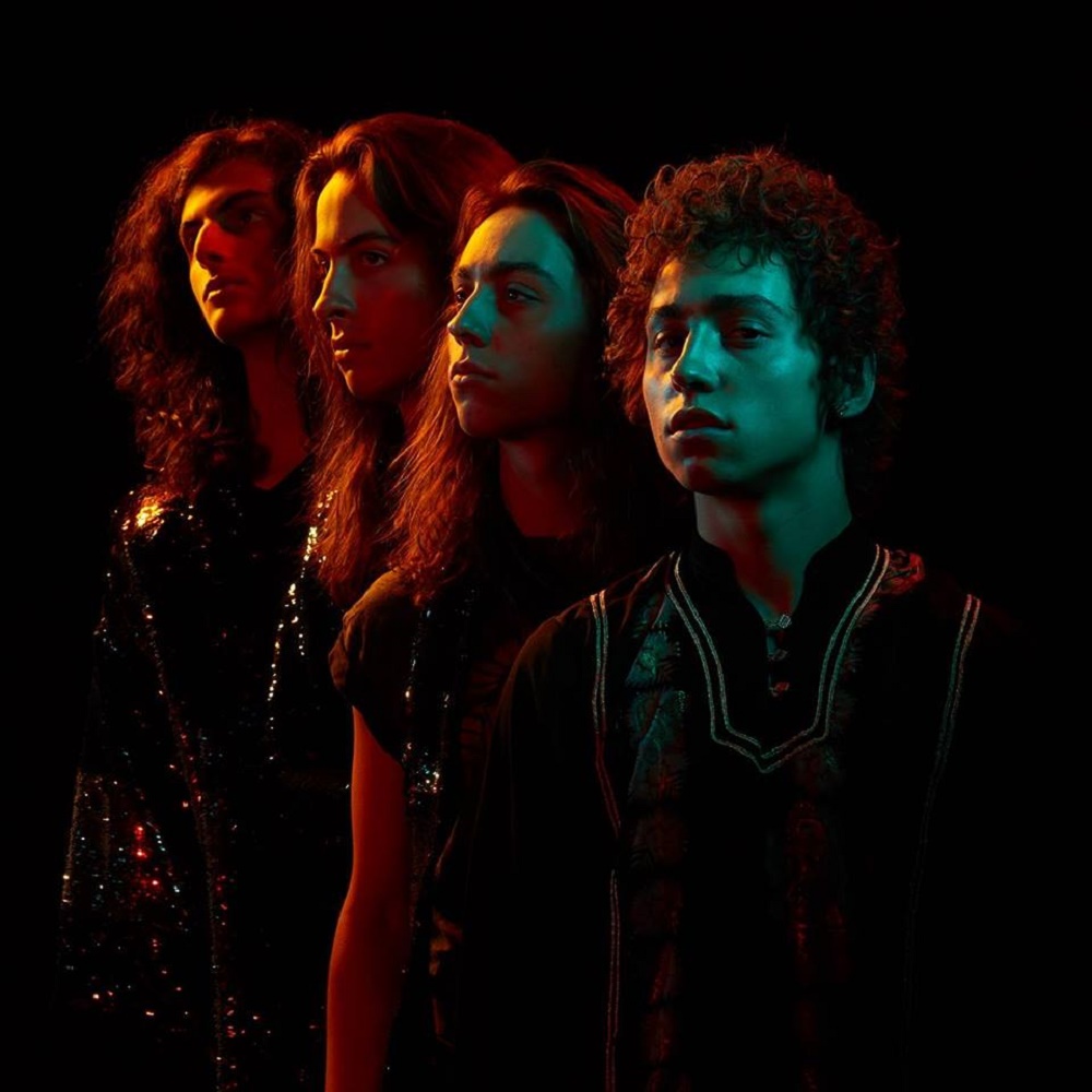 Ascolta il nuovo brano dei Greta Van Fleet !