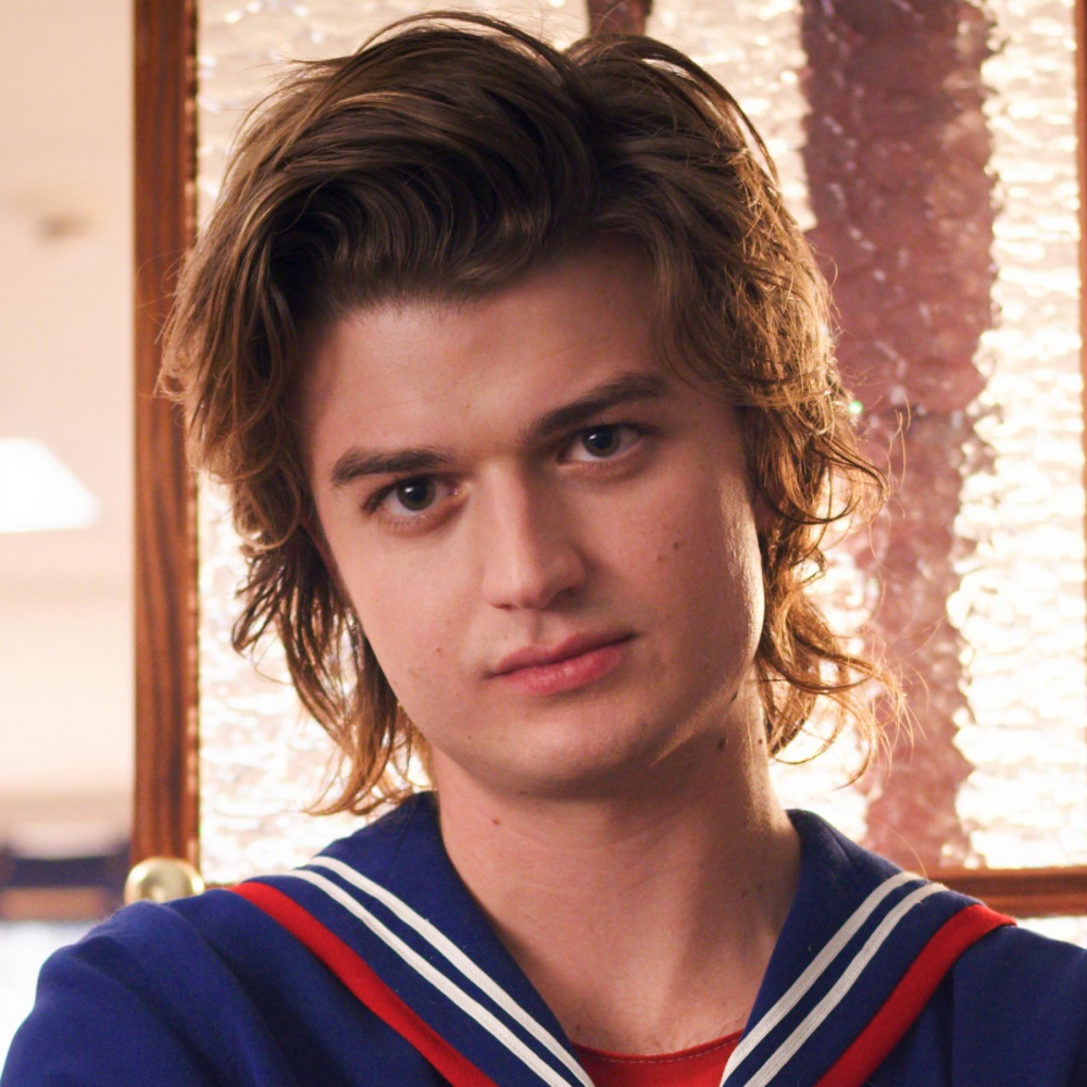 Steve di Stranger Things ha annunciato un album