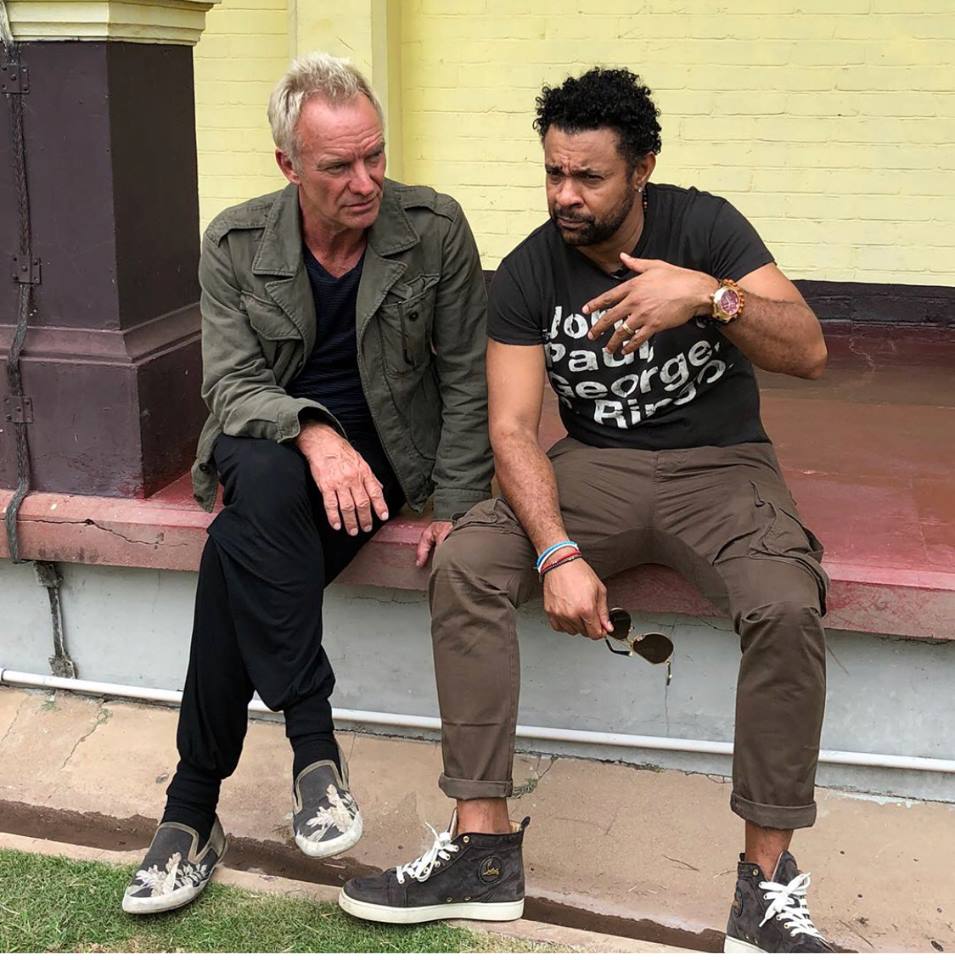 Sting in squadra con Shaggy per il nuovo album