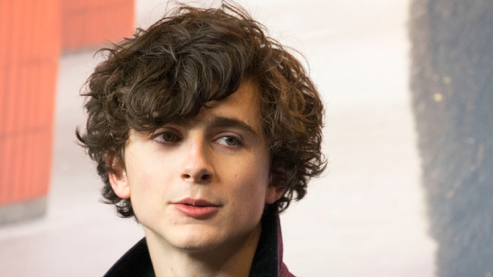 Timothée Chalamet, potrebbe essere Bob Dylan